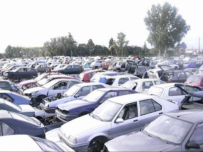 Azur Auto s.a.s.