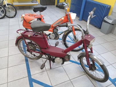Casse Auto Dartier